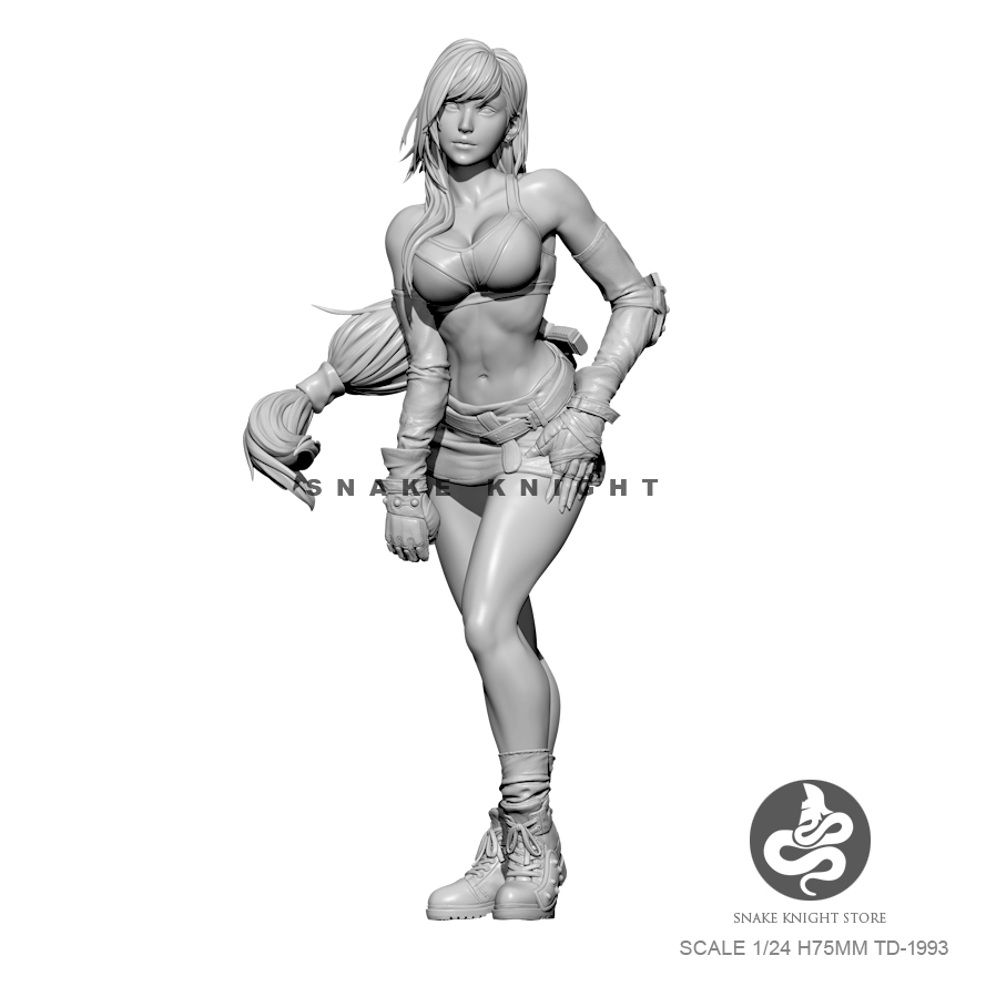 1/24 الراتنج أطقم الشكل الجندي - مراجعة Model Kit Galahad وسعره
