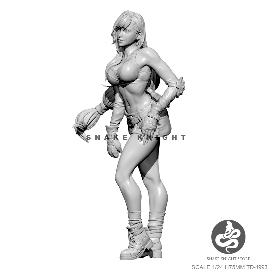 1/24 الراتنج أطقم الشكل الجندي - مراجعة Model Kit Galahad وسعره