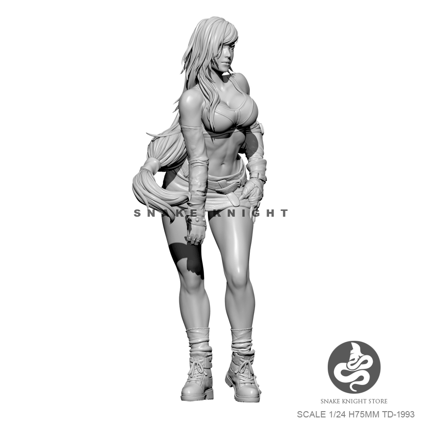 1/24 الراتنج أطقم الشكل الجندي - مراجعة Model Kit Galahad وسعره